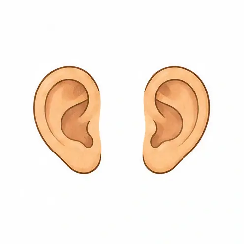 ears