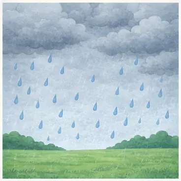 rainy