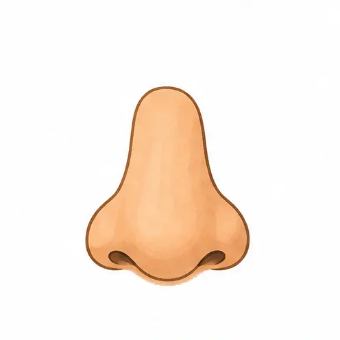nose